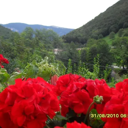Montebaldina